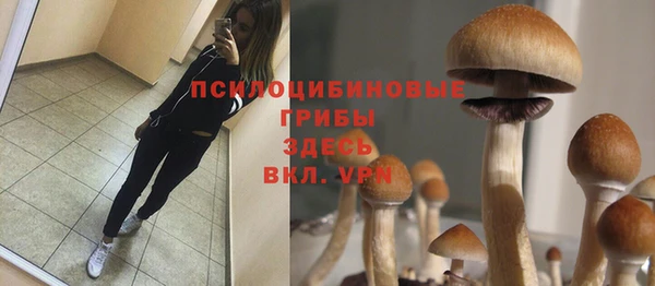 герыч Абинск
