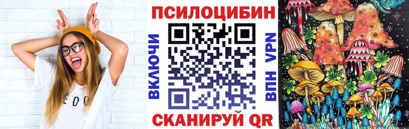 Галлюциногенные грибы Psilocybine cubensis  Сусуман 